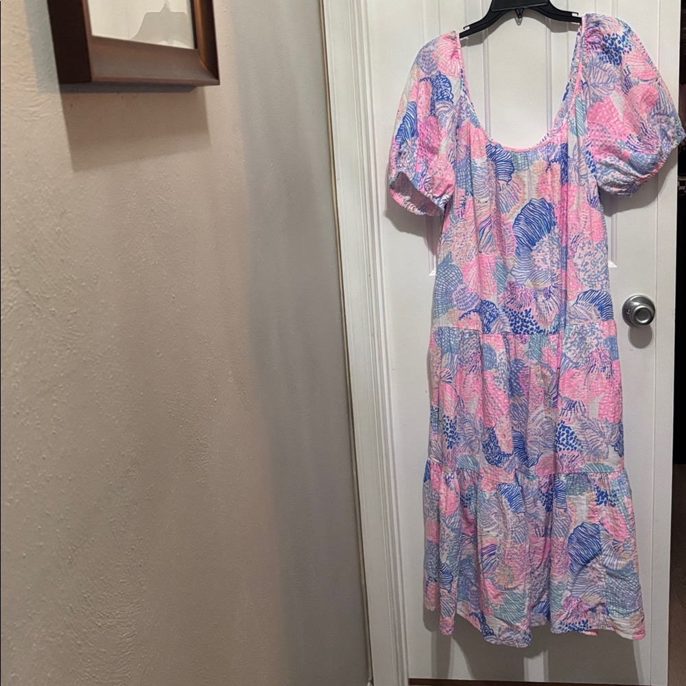 Lilly Pulitzer Pink and Blue Floral Dress